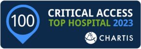 Chartis Top 100 Critical Access Hospital of 2023